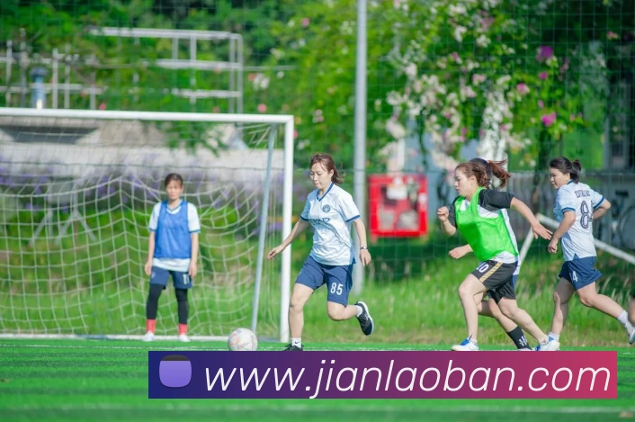 leyu乐鱼手机官网APP 封面图